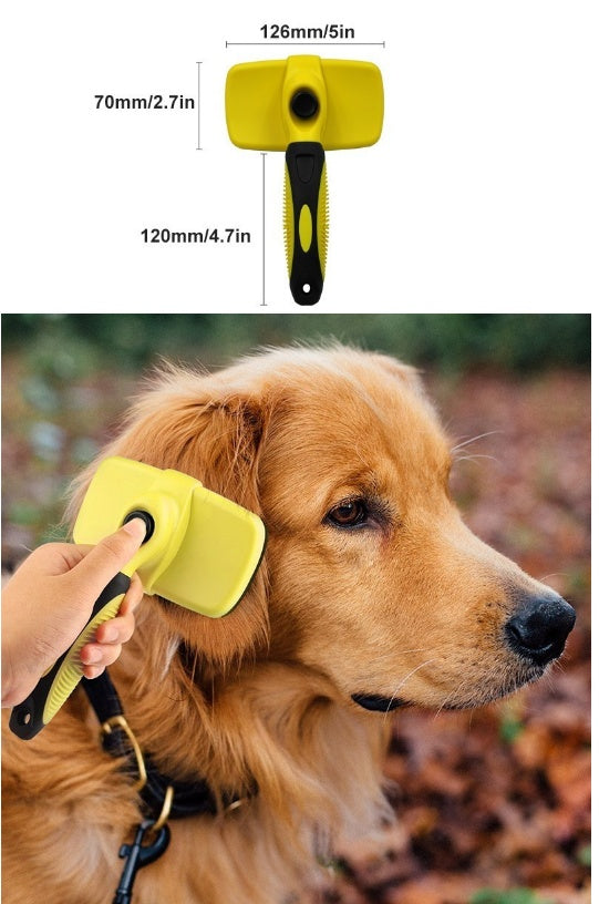 Pet Accessories