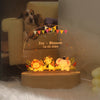 Personalized Photo UV Acrylic Small Animal USB Night Light Decoration