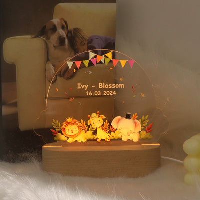 Personalized Photo UV Acrylic Small Animal USB Night Light Decoration