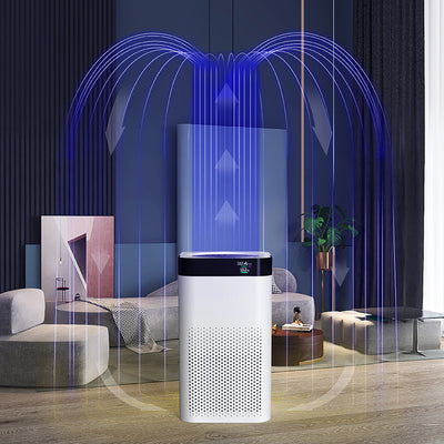 Negative Ion Air Purifier UV Light